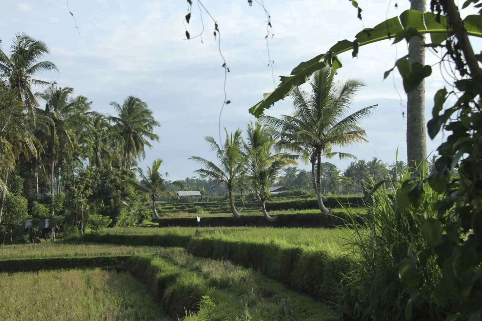 Sandat Glamping Tents