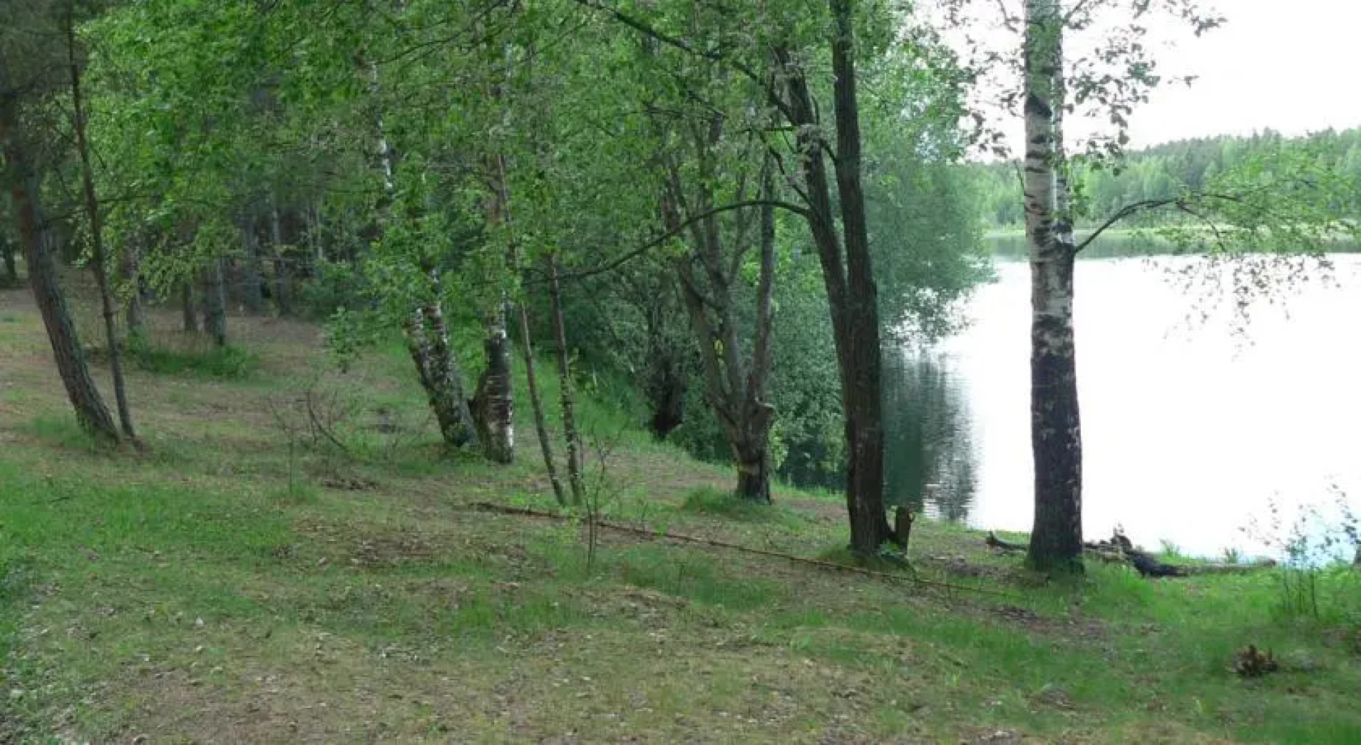 Vikipalu Country House