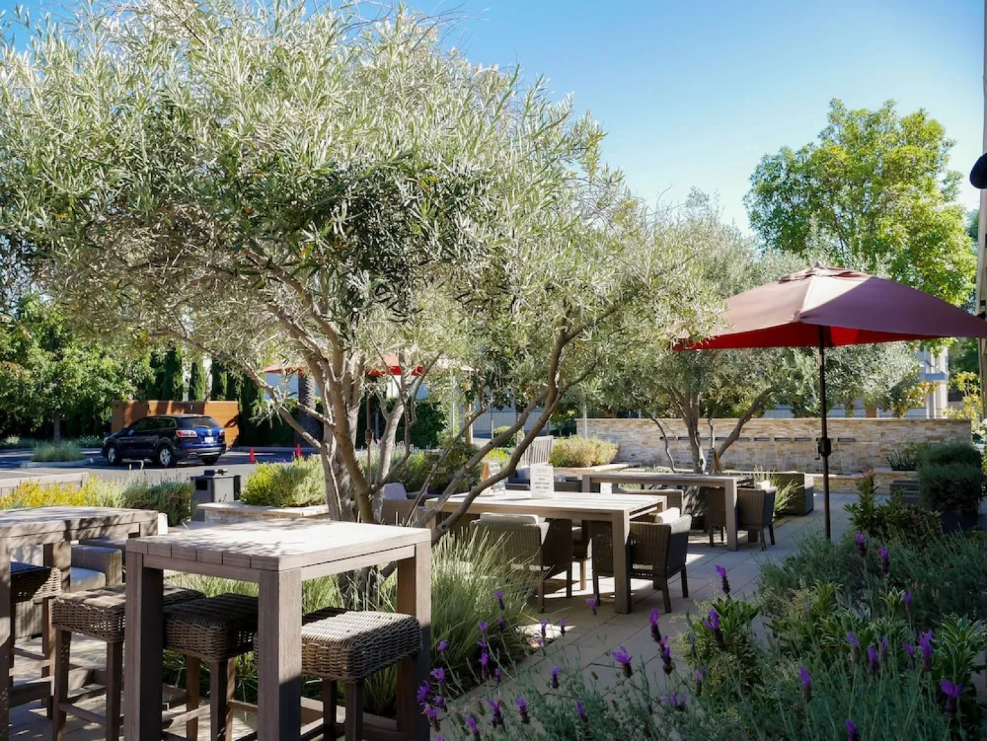 Quality Inn Stanford/silicon Valley