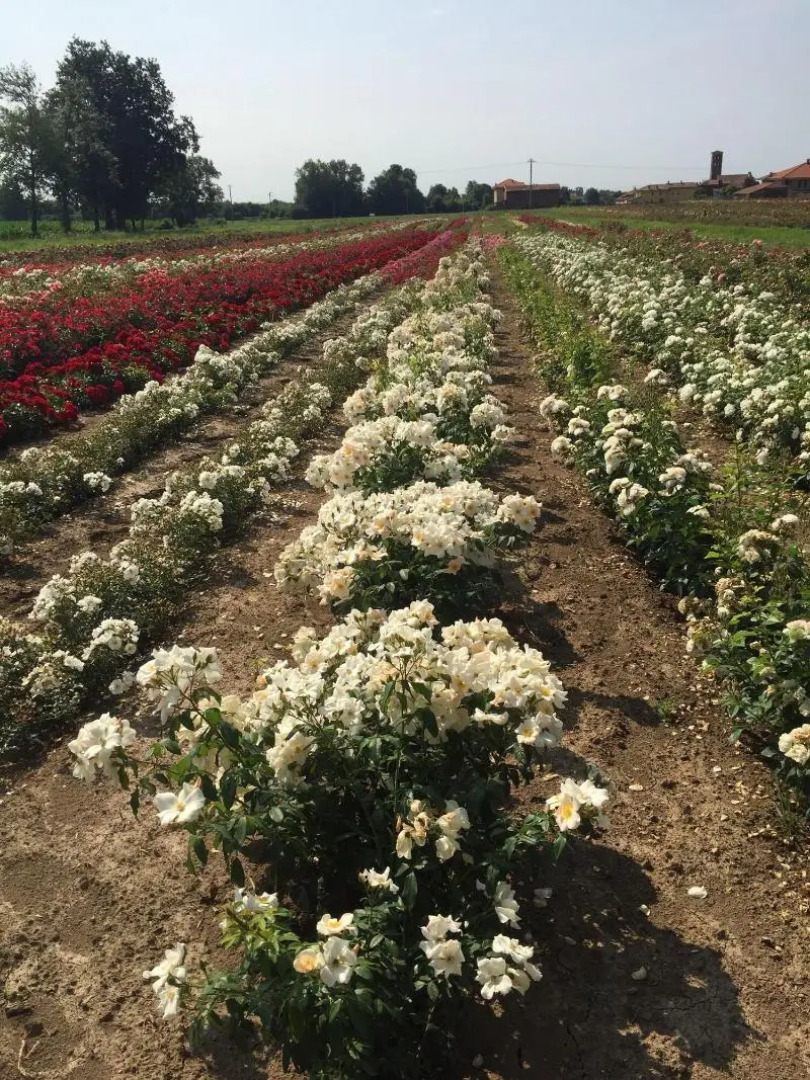 Relais Santo Stefano