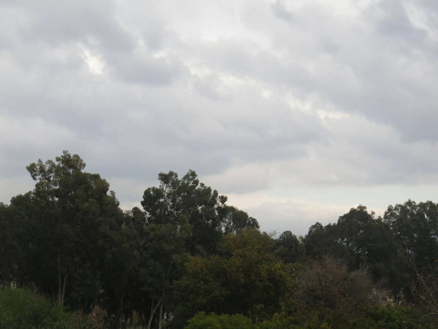 Agas Holiday Apartments Kiryat Shmona