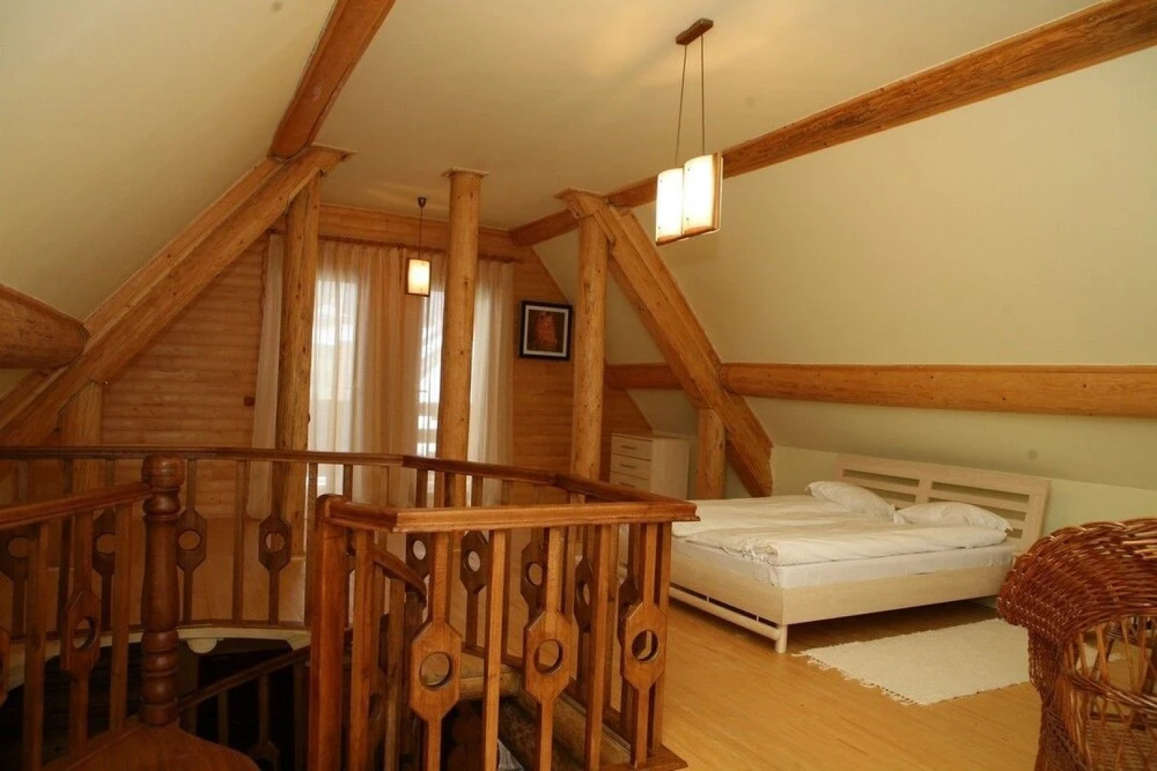 Червона Рута