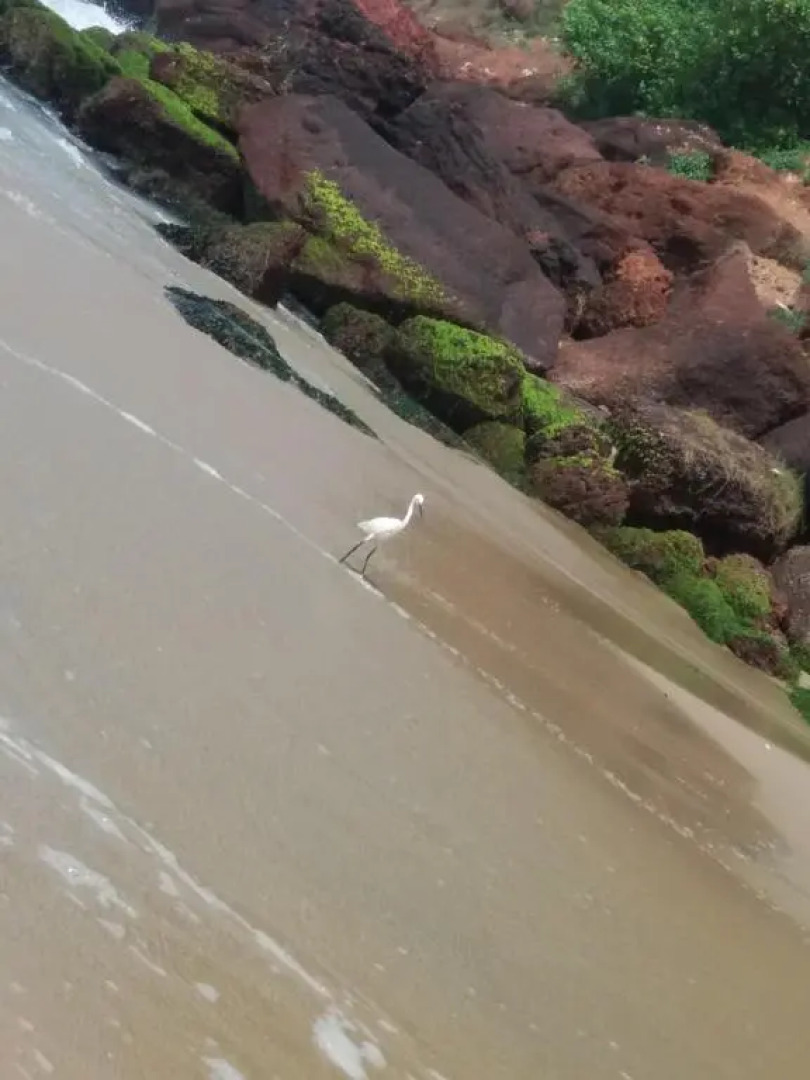 Raj Palace Home Stay