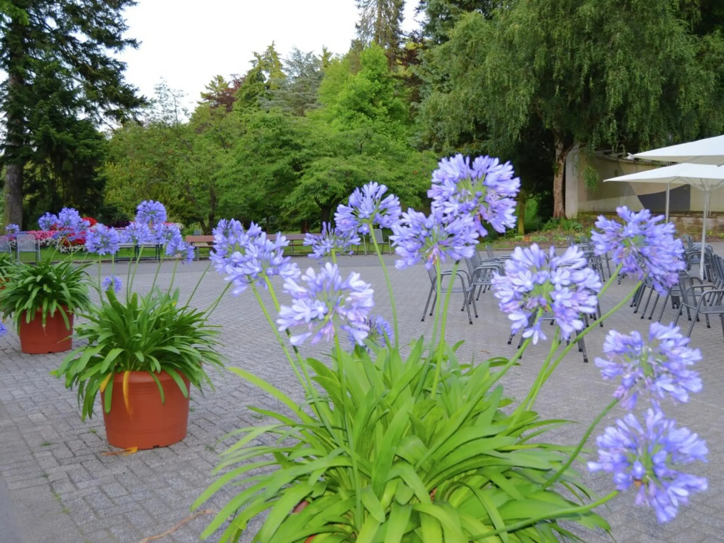 Wohnung mit Eigener Terrasse in Huddingen