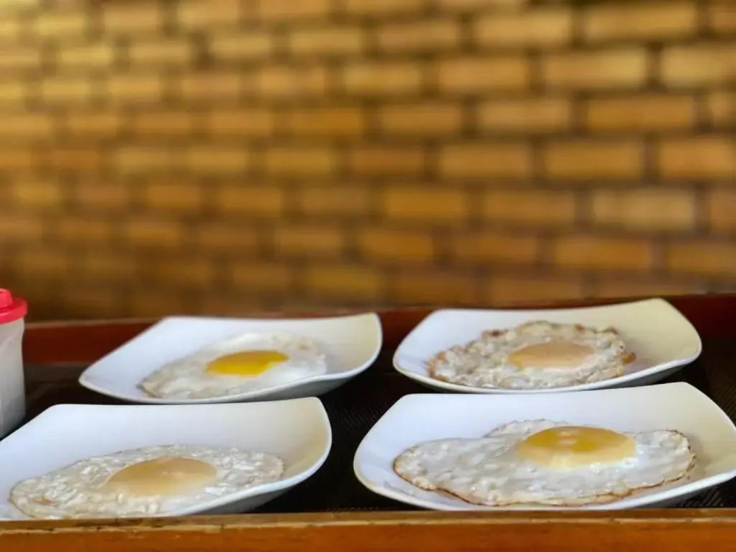 mastodon valley safari resort