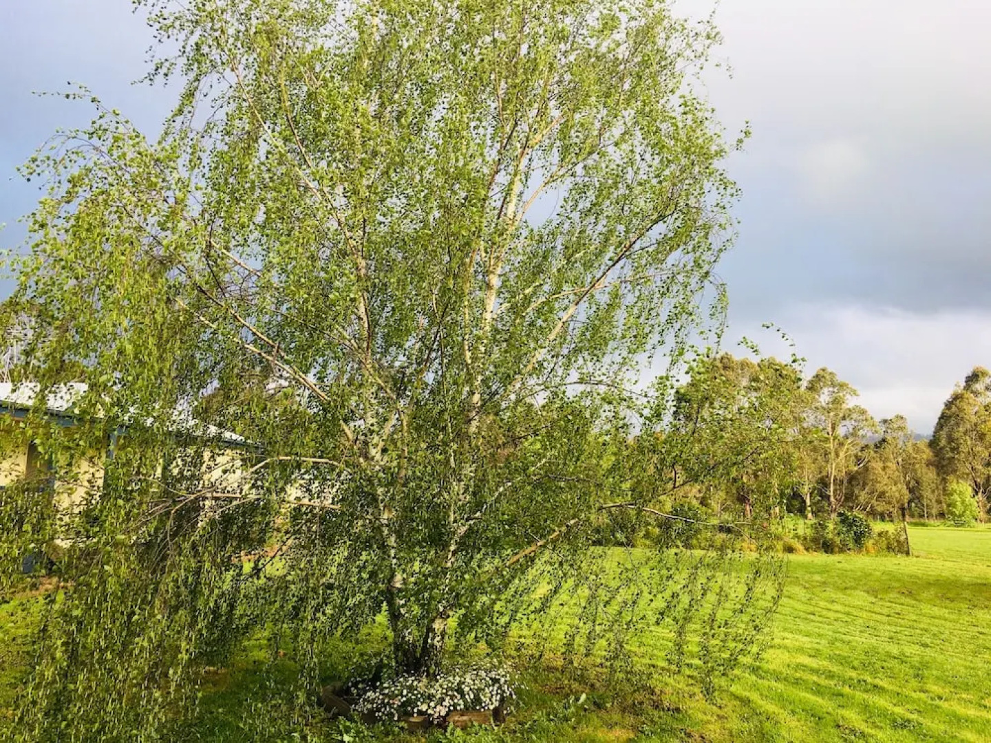 Yarragon 4 Bedroom House in Gippsland