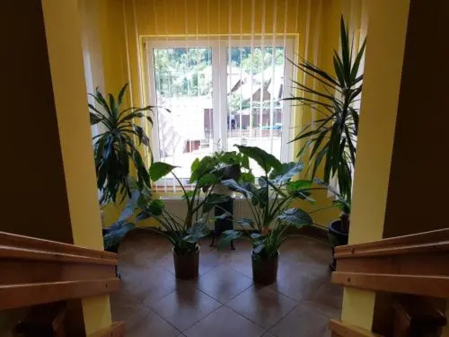 Raza Soarelui Pension