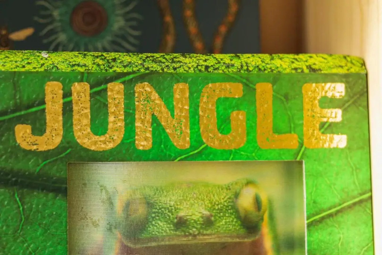 The Jungle - Unique Cabin in Millport