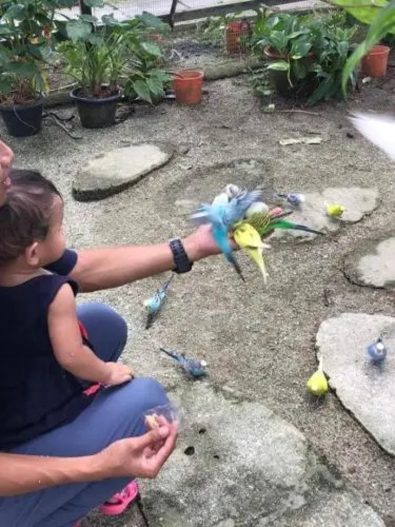 Easy Life Guest House