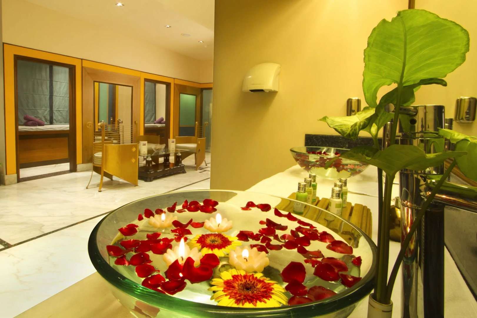 The Piccadily Lucknow