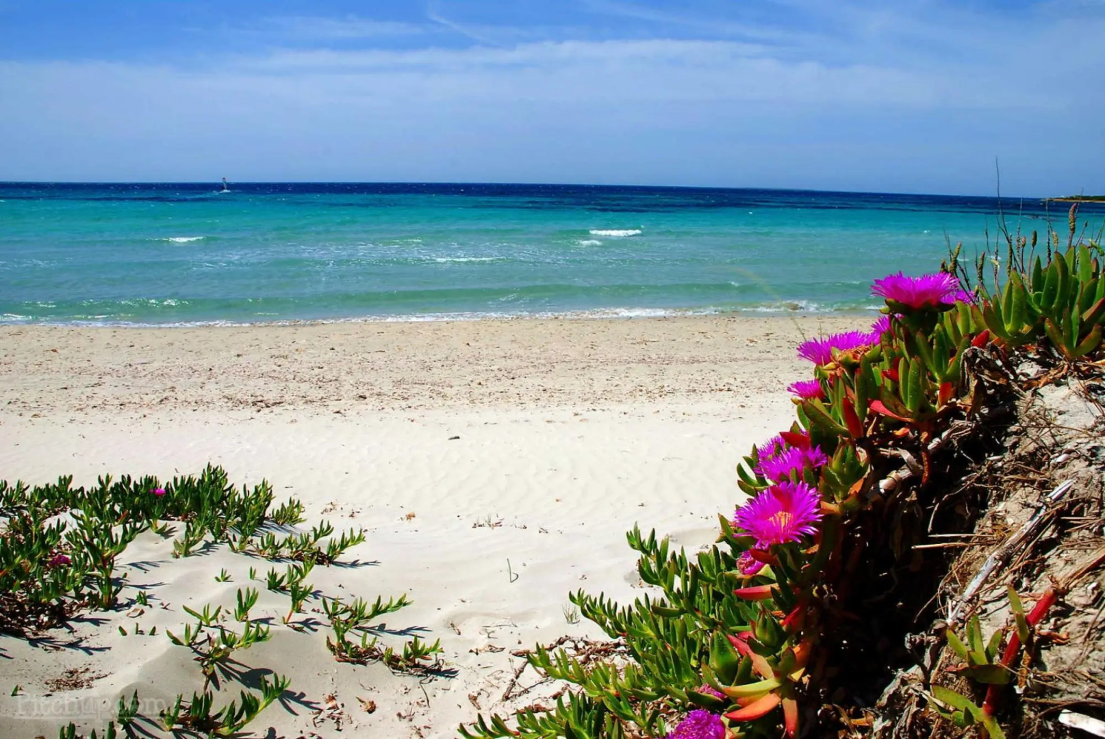 Holiday home with sea view on the beach of Is Arenas and Torre del Pozzo 300 meters from the sea sho-Casa Zinzella