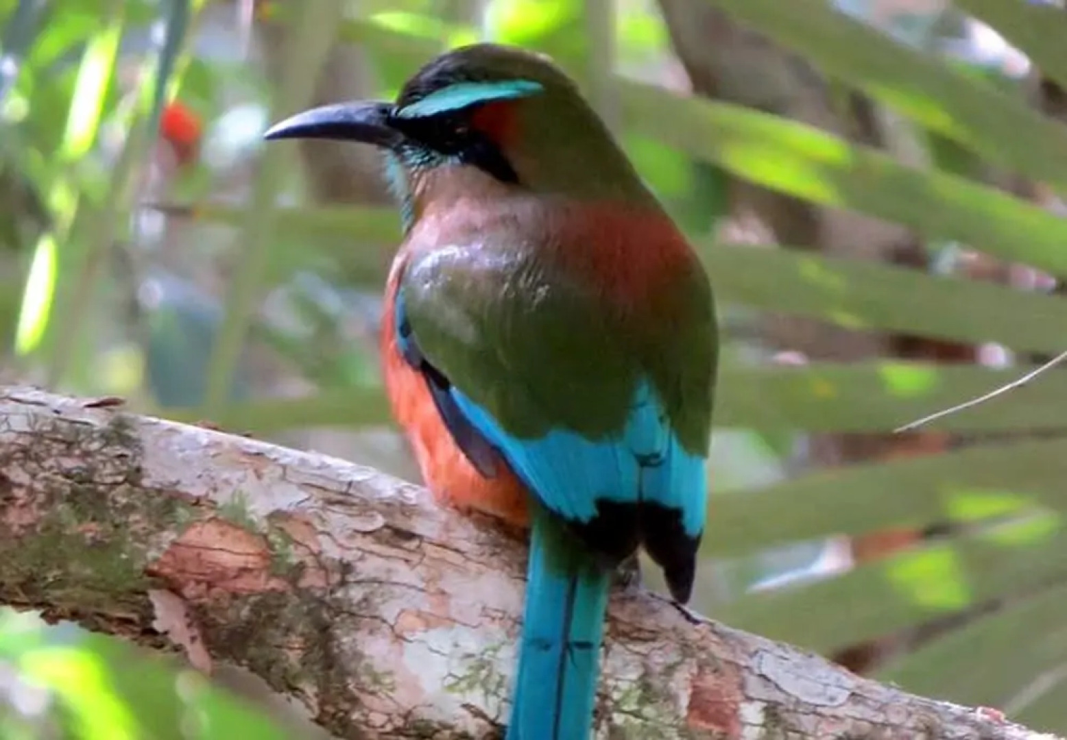 Raíces del Cielo Oasis Holístico