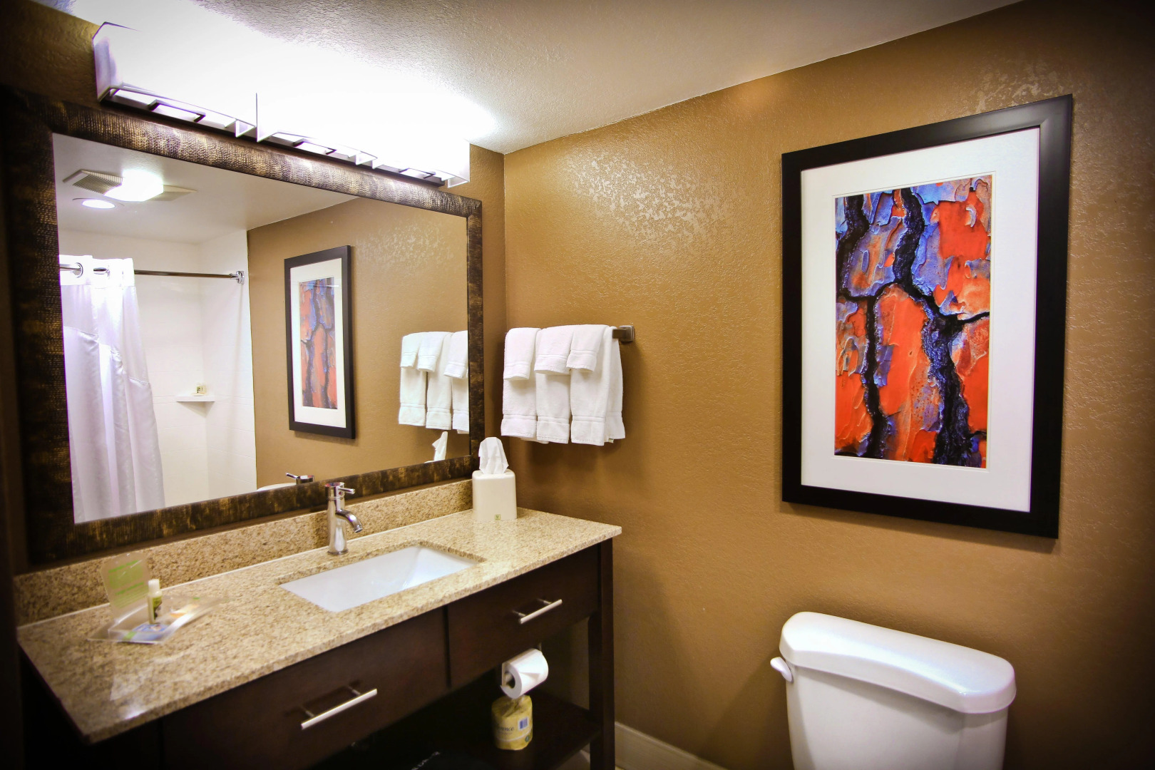 Holiday Inn Hotel & Suites LA CROSSE