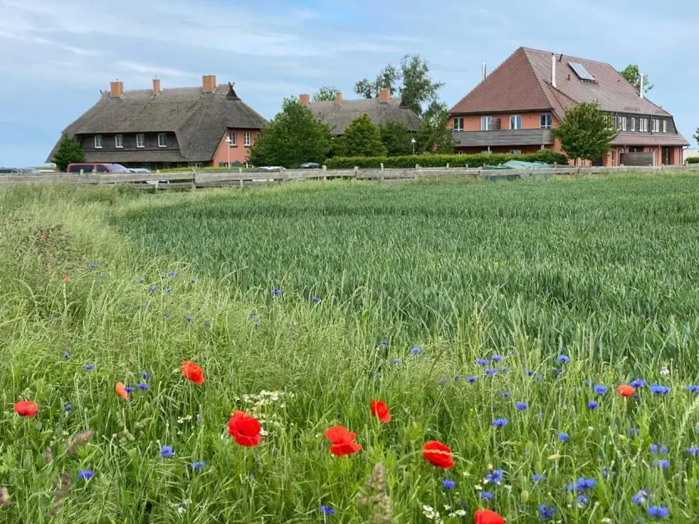 Rï¿½gen-Ferienhof