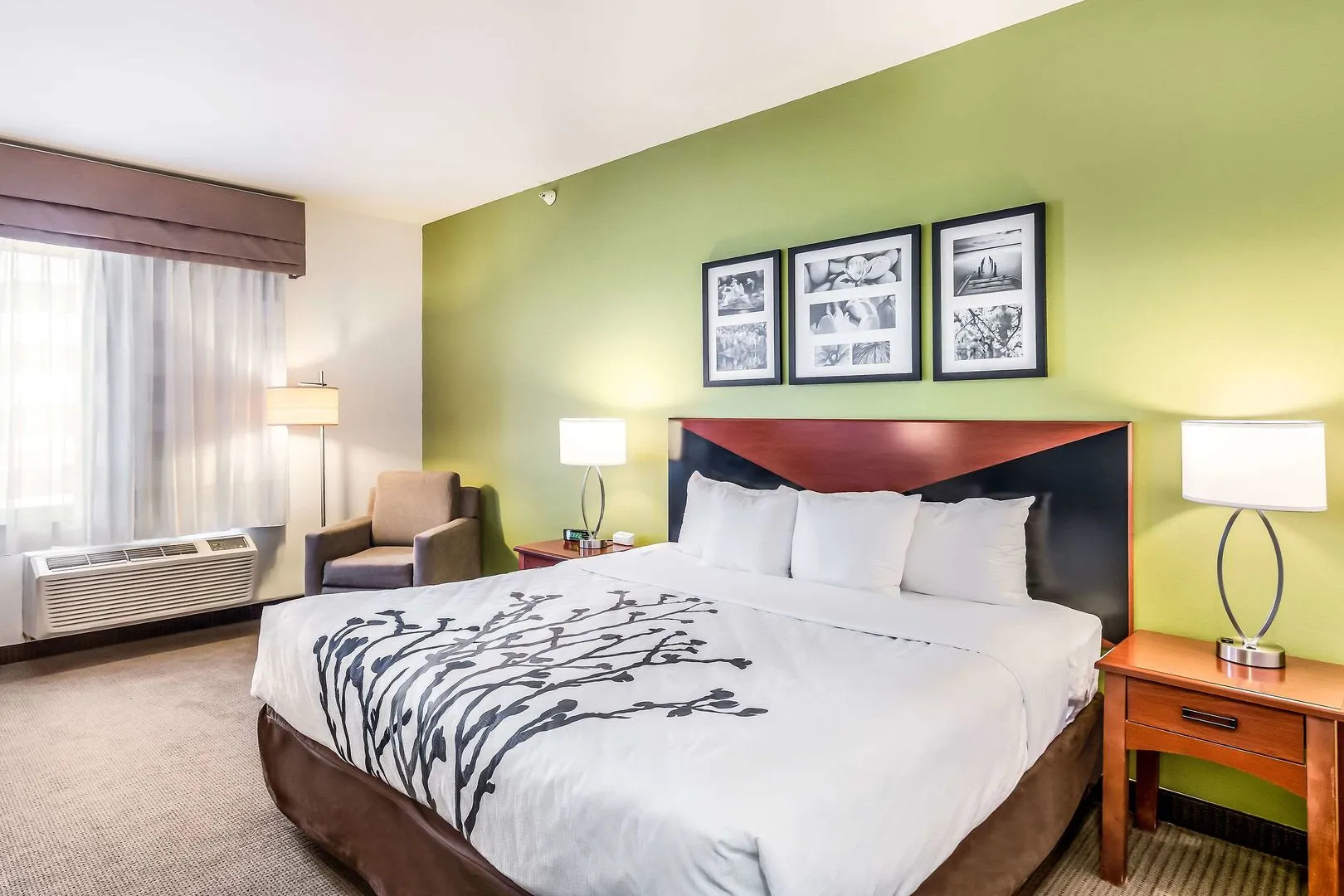 Sleep Inn & Suites Fort Stockton