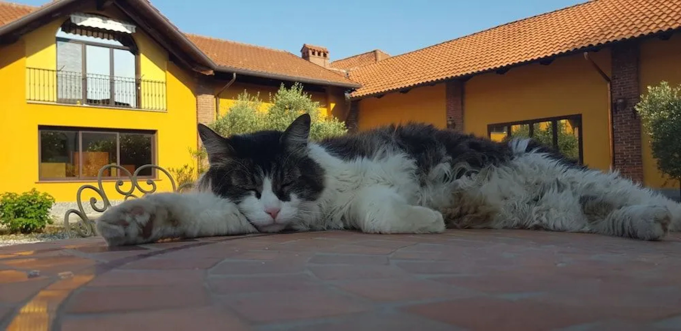 Agriturismo Cascina Argentera