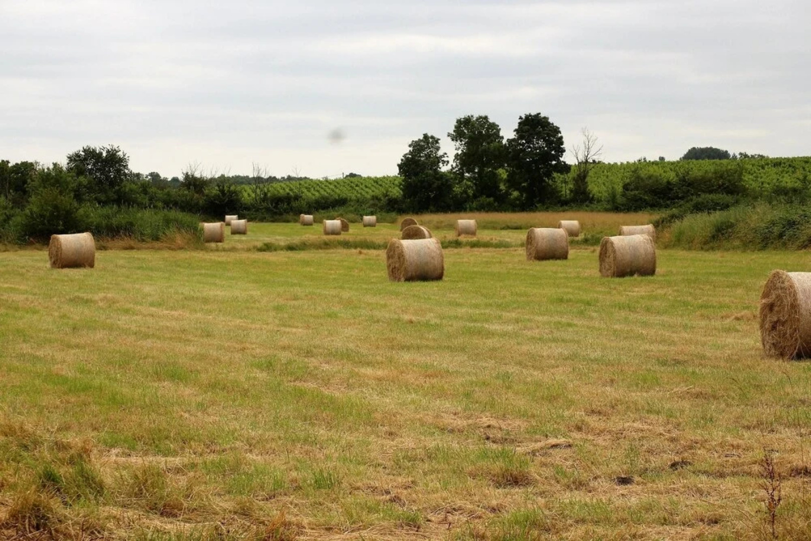 House With 2 Bedrooms in Saint-estèphe, With Enclosed Garden and Wifi