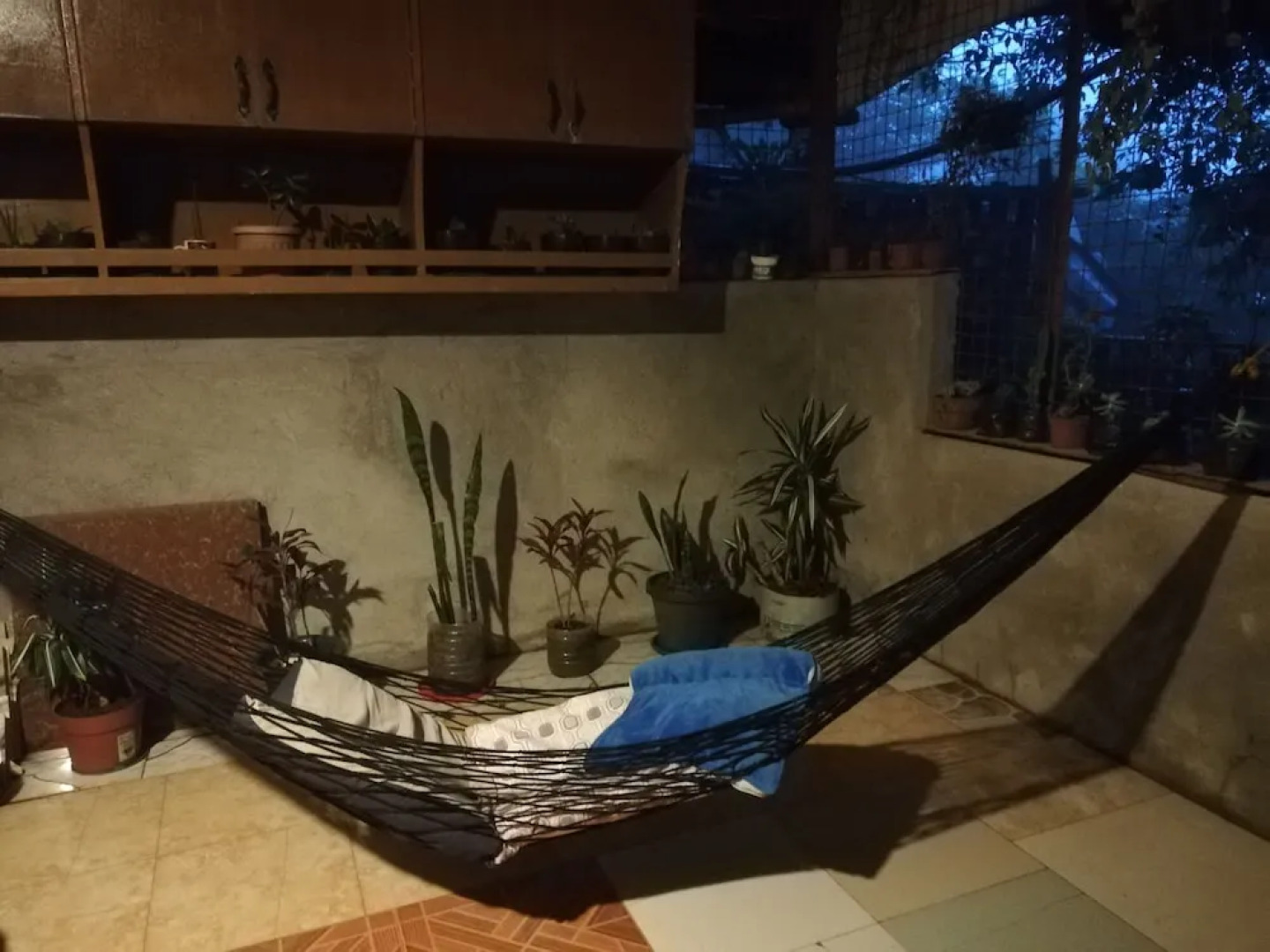 Tribuhaus Backpackers Inn