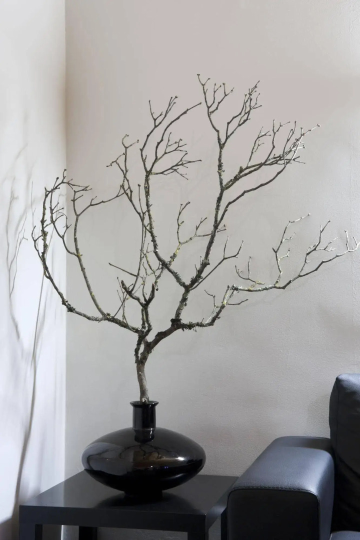 Quinta dos 4 Lagares