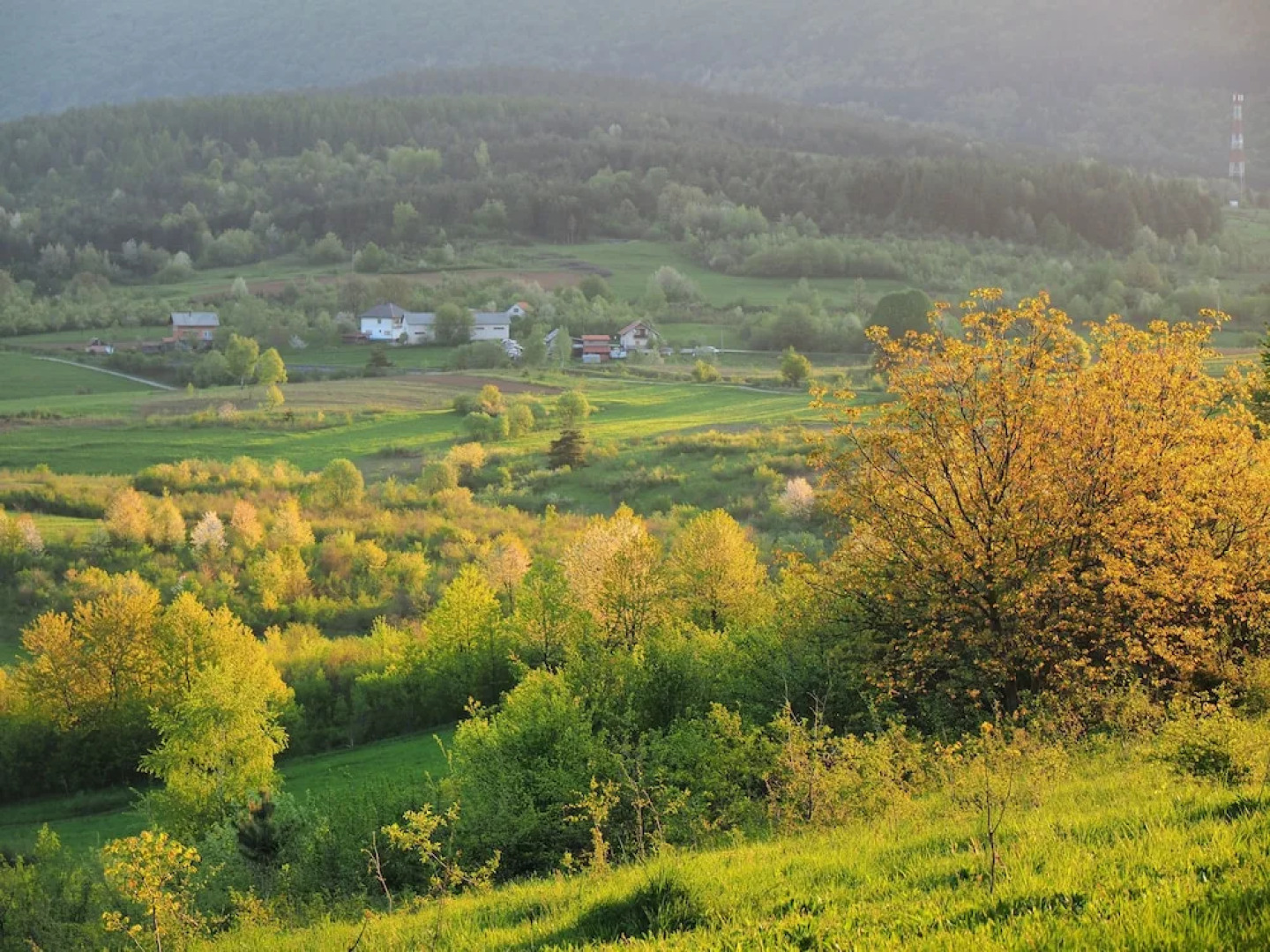 Apartments and Rooms Sara Latin