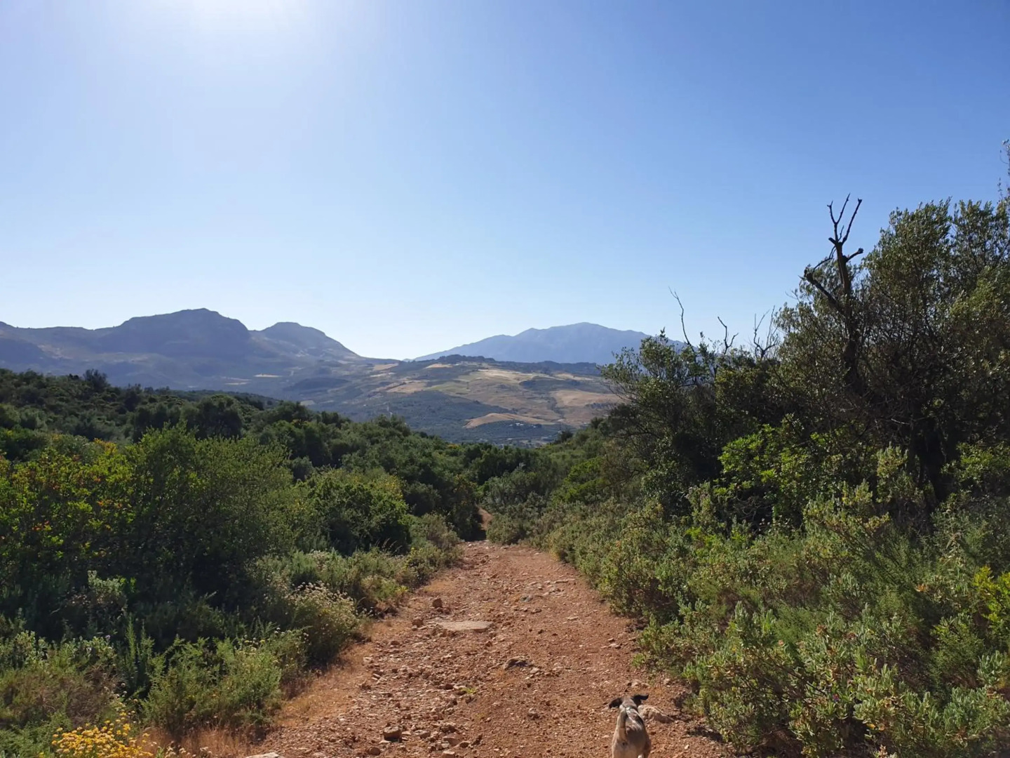 One Life Málaga Retreat