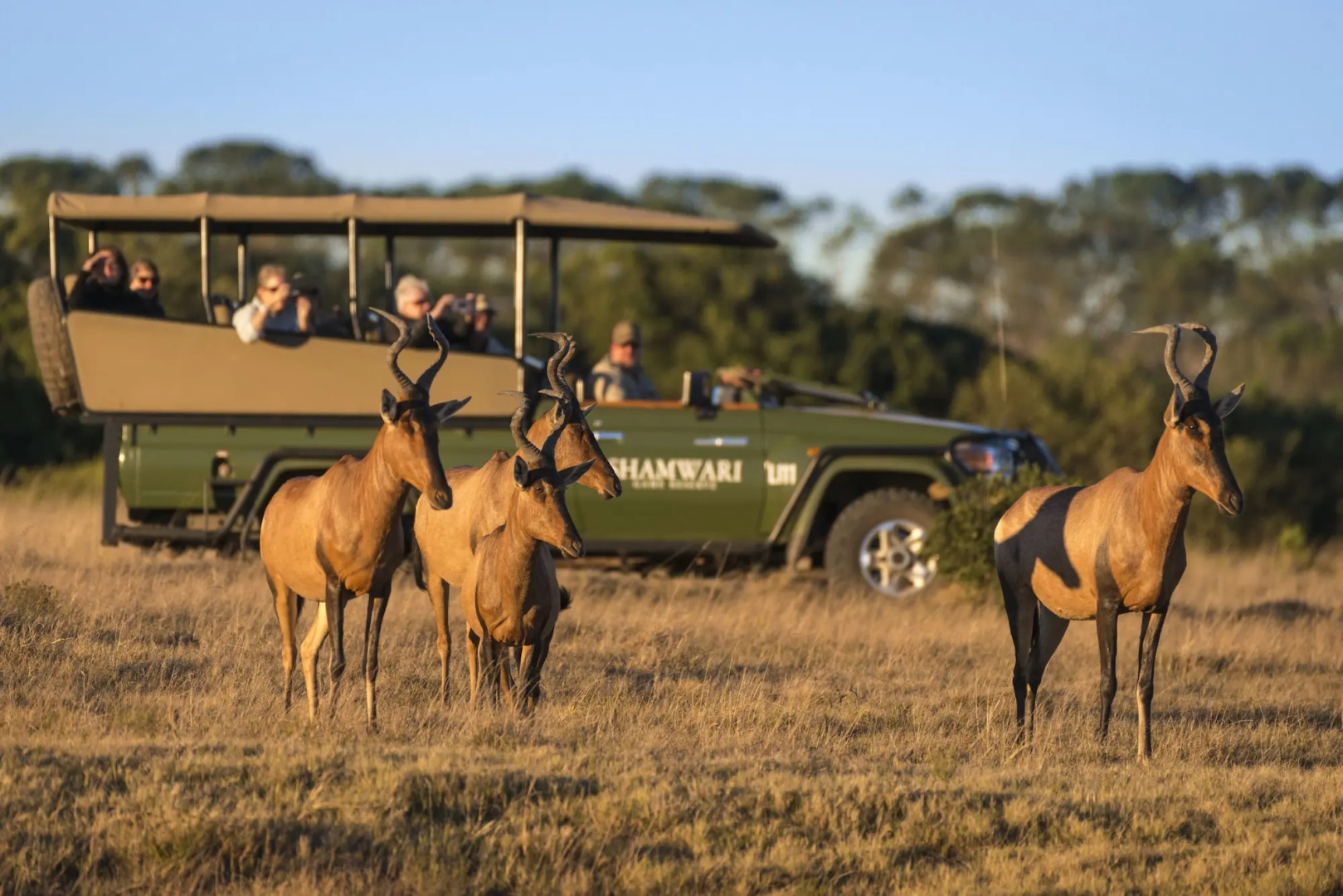 Shamwari Long Lee Manor