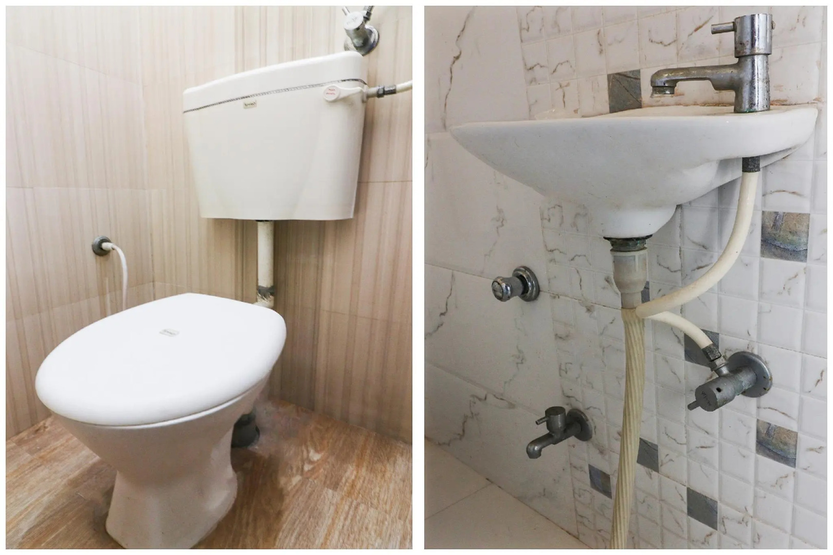 OYO 66710 Green World