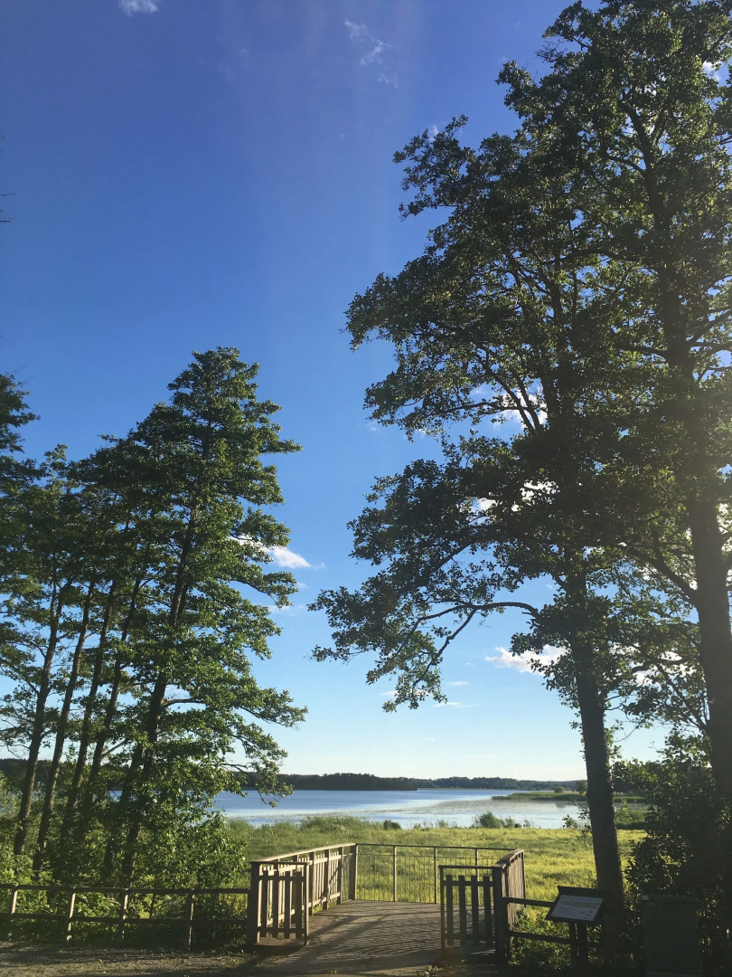 Wiks Slott