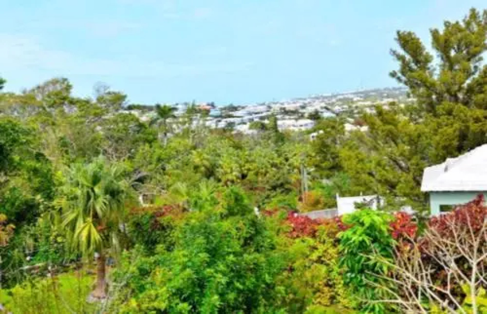 Fairhills - Walk to Elbow Beach everyday..