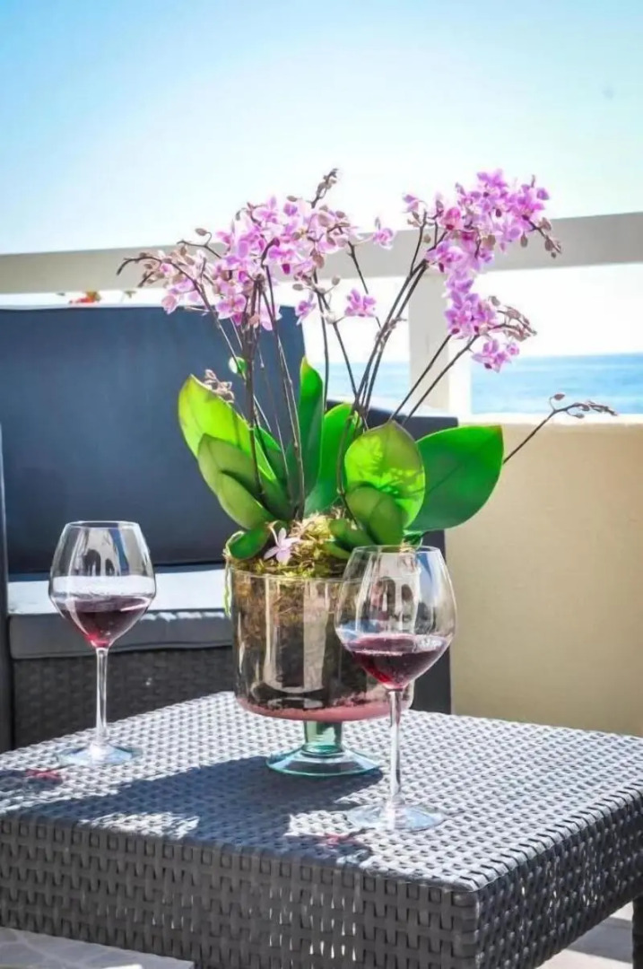 Hôtel restaurant le Torremare