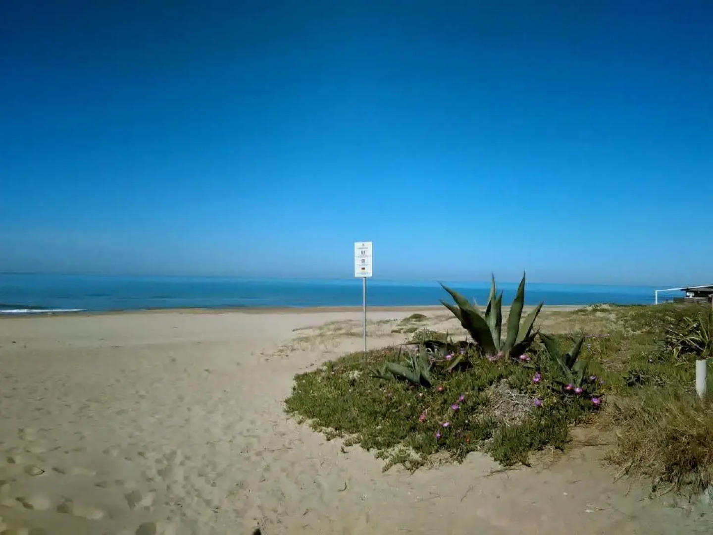 Torvajanica Apartament