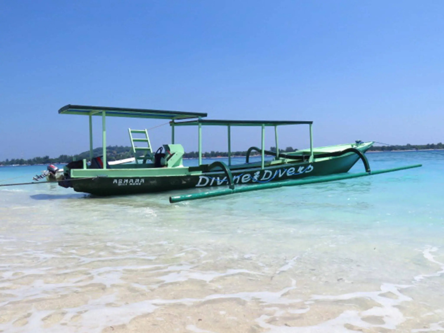 Divine Divers Resort