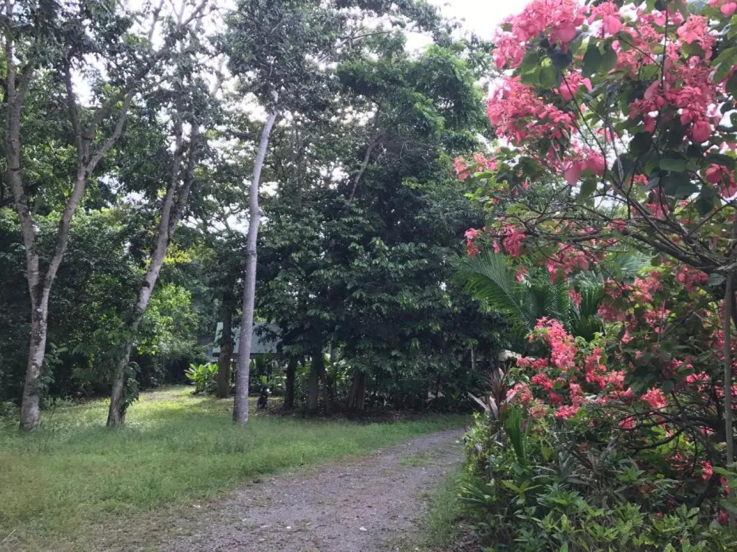 Palapa Hut Nature Hostel & Campground