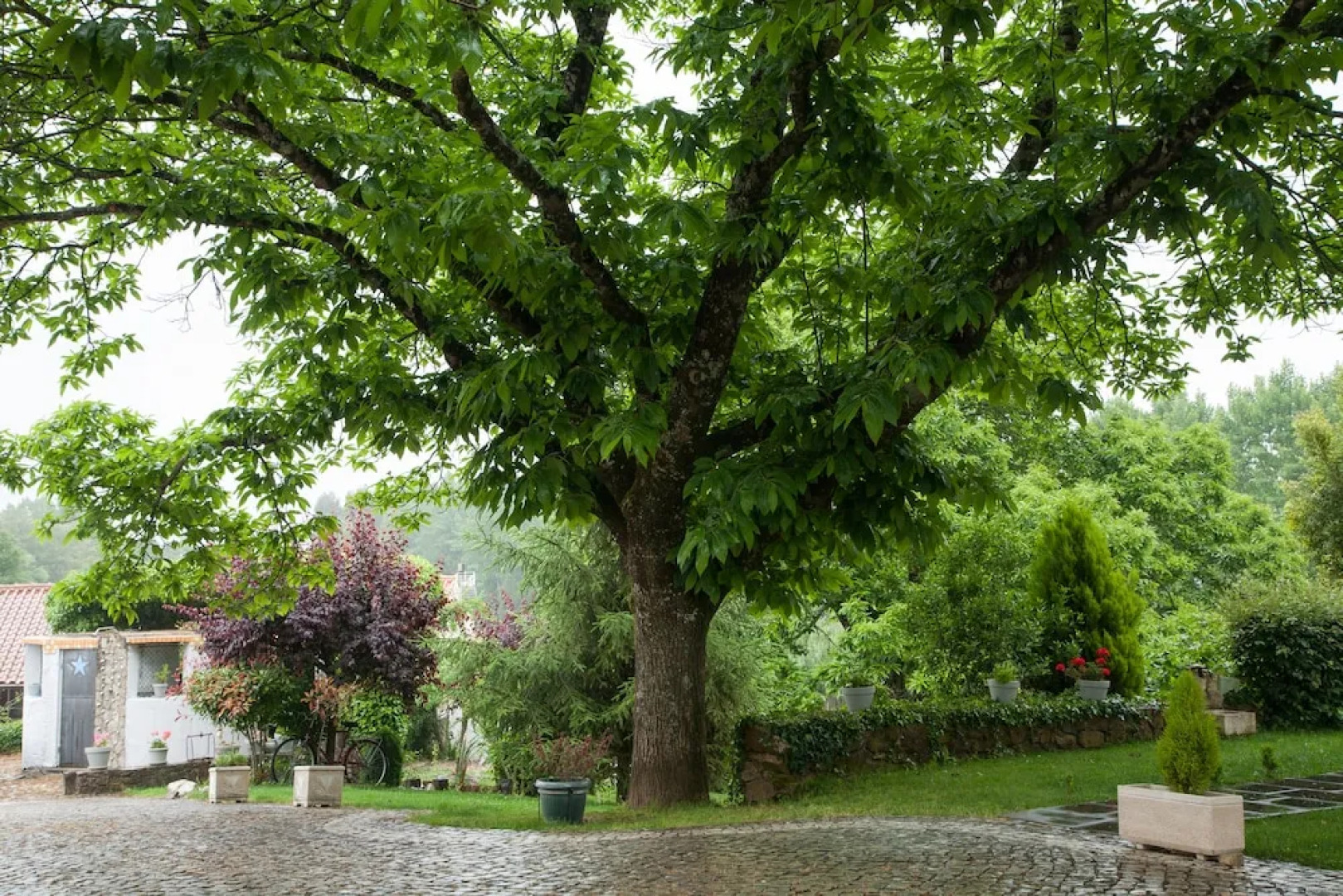 Vila dos Castanheiros