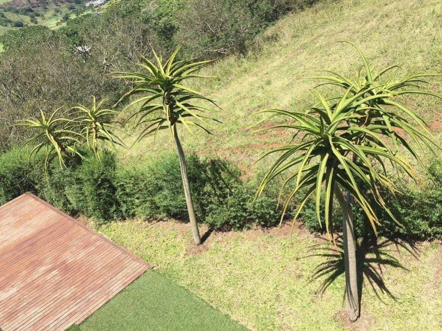 Moonlight Lady Self-Catering House