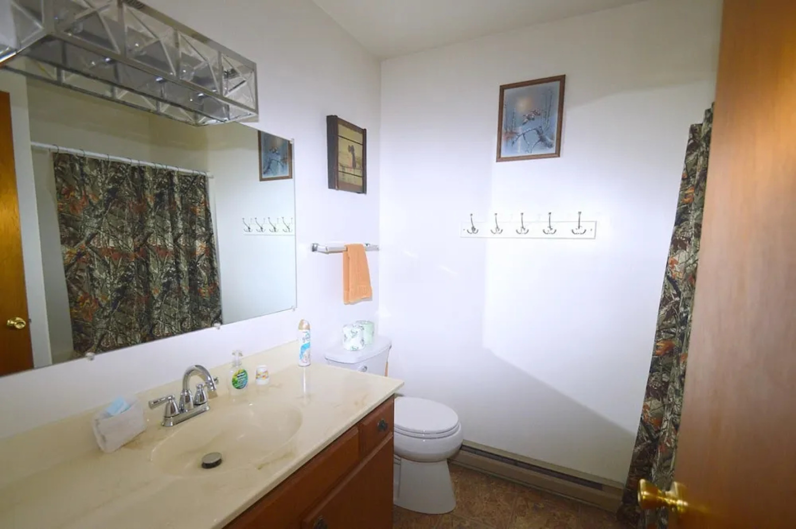 Chesnutt Cabin on the Cacapon River