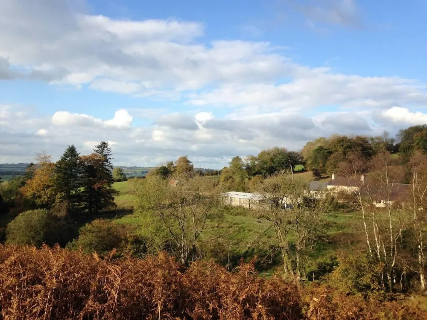 Cosy Stone Cottage on Llanllwni Mountain