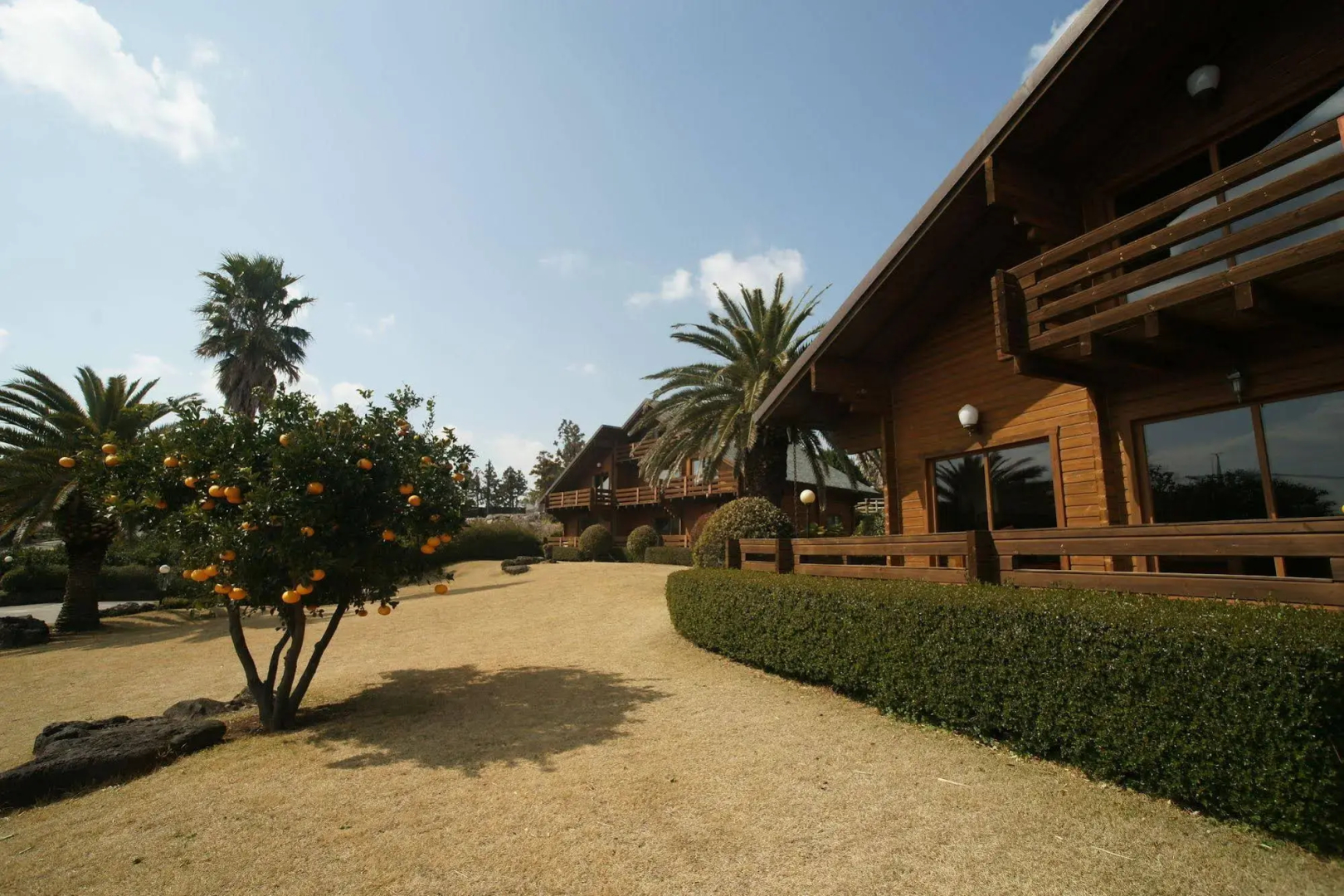 Sunny Day Jeju Pension