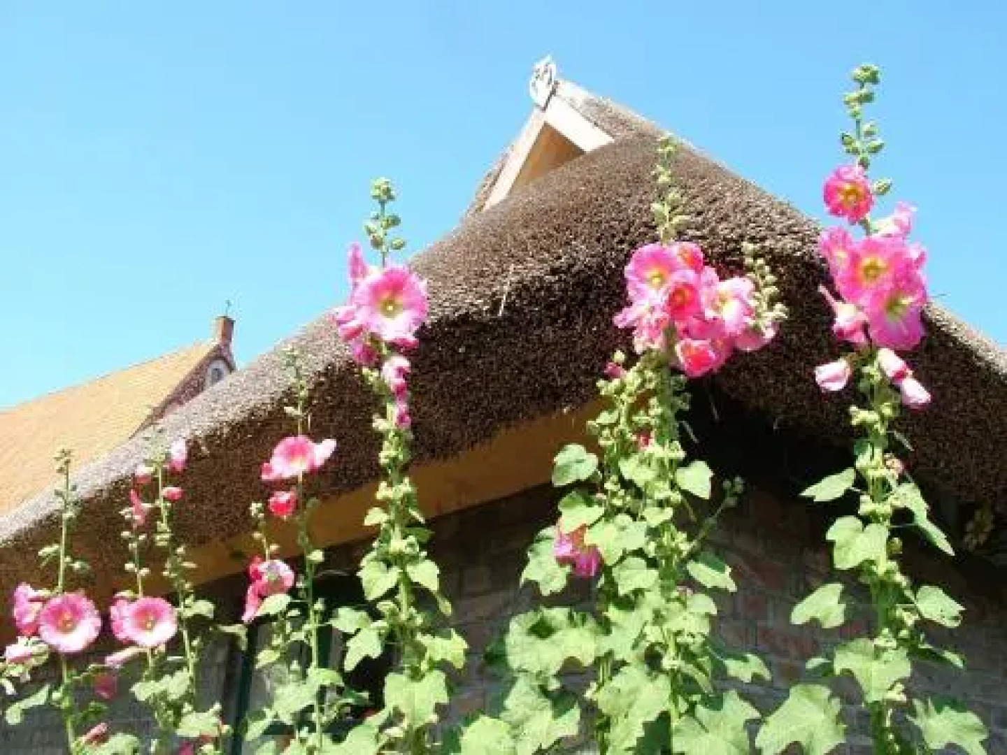 Hexenhaus auf Rügen