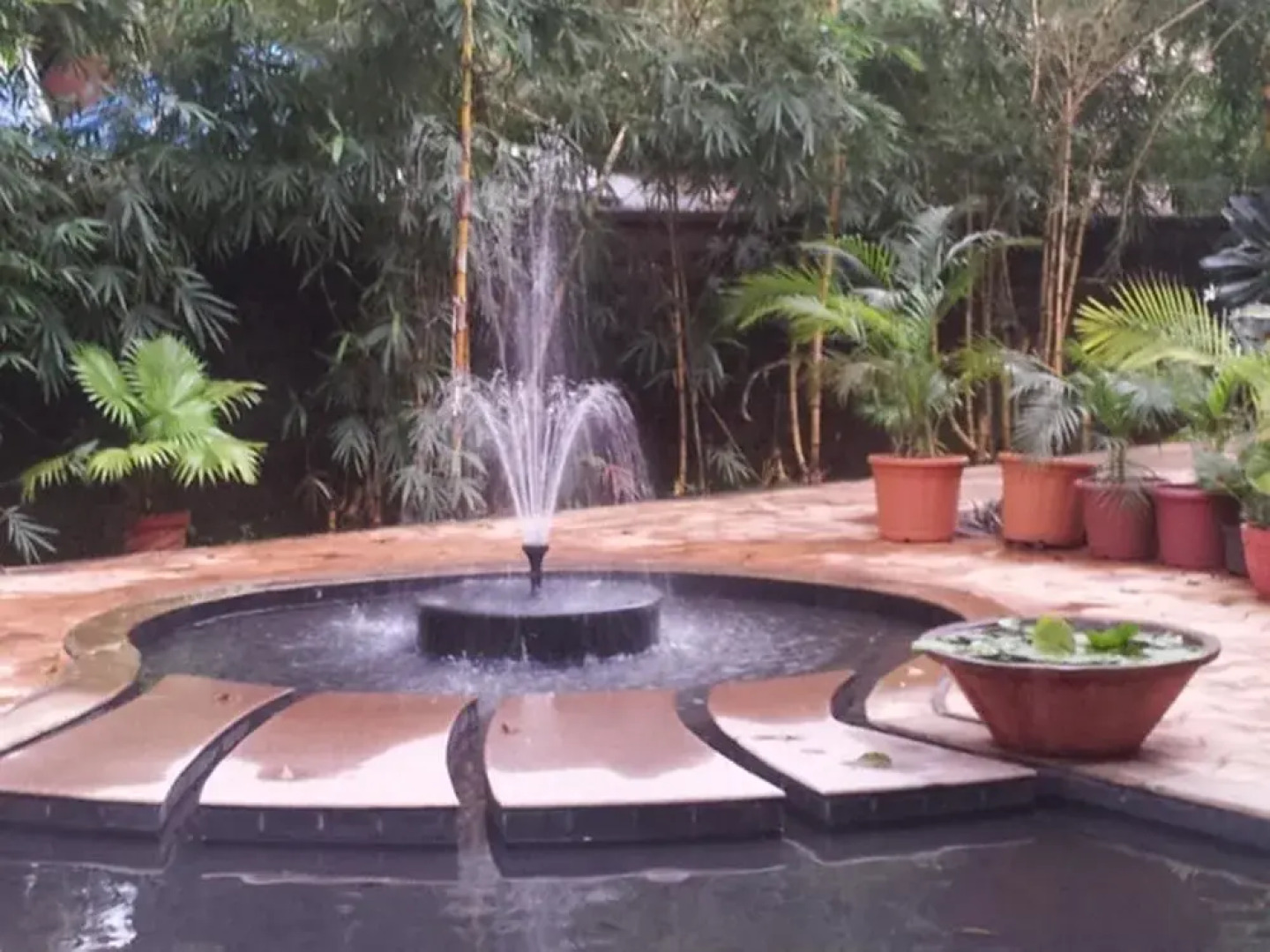 Paradise-A pleasant stay in Arpora