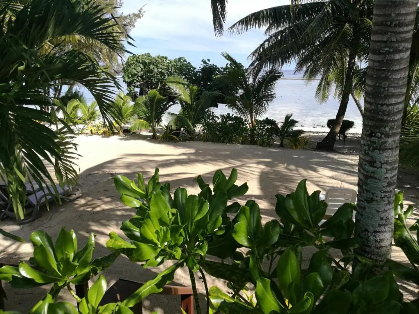 Sunset Palms Rarotonga