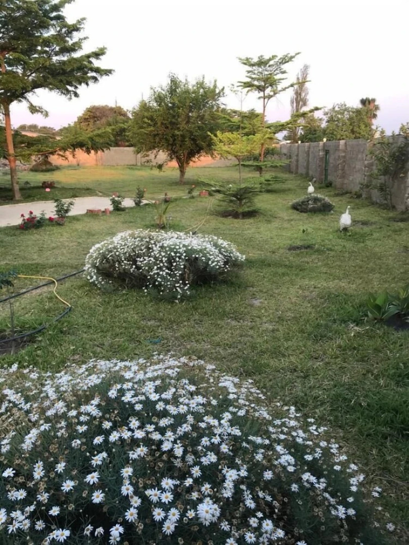 Kavango Dachils Lodges Ext2