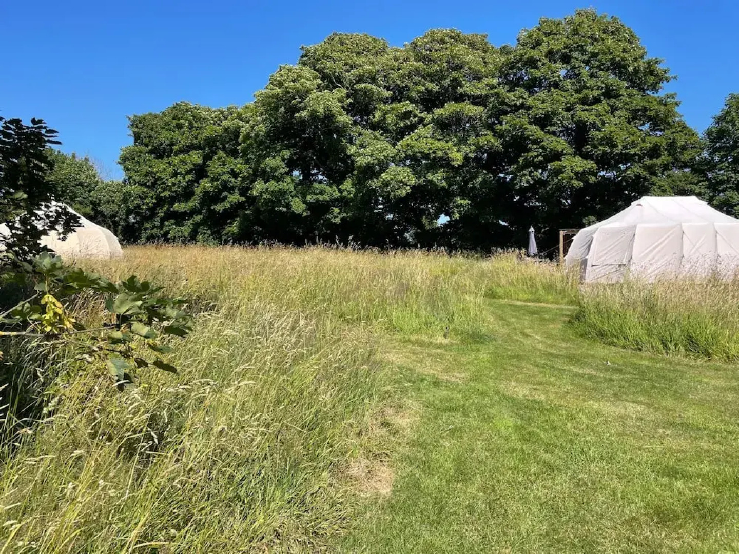 Beautiful Bell Tent Stay