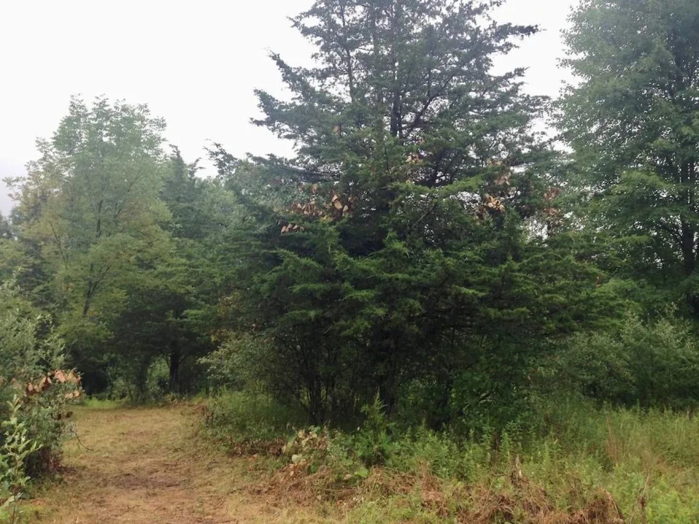 Tentrr - Clove Mountain Meadow