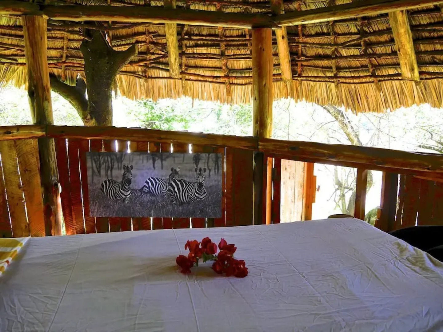 Nyota Mara Lodge