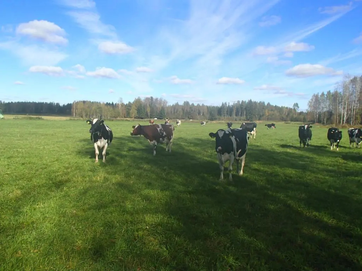 Maatilamatkailu Peräkangas