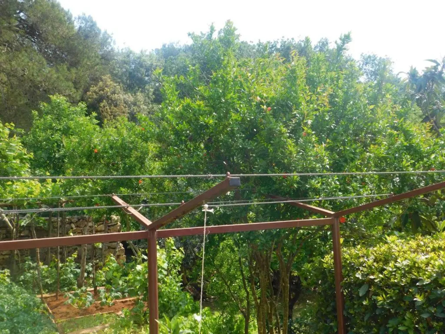 Apartment Artusi