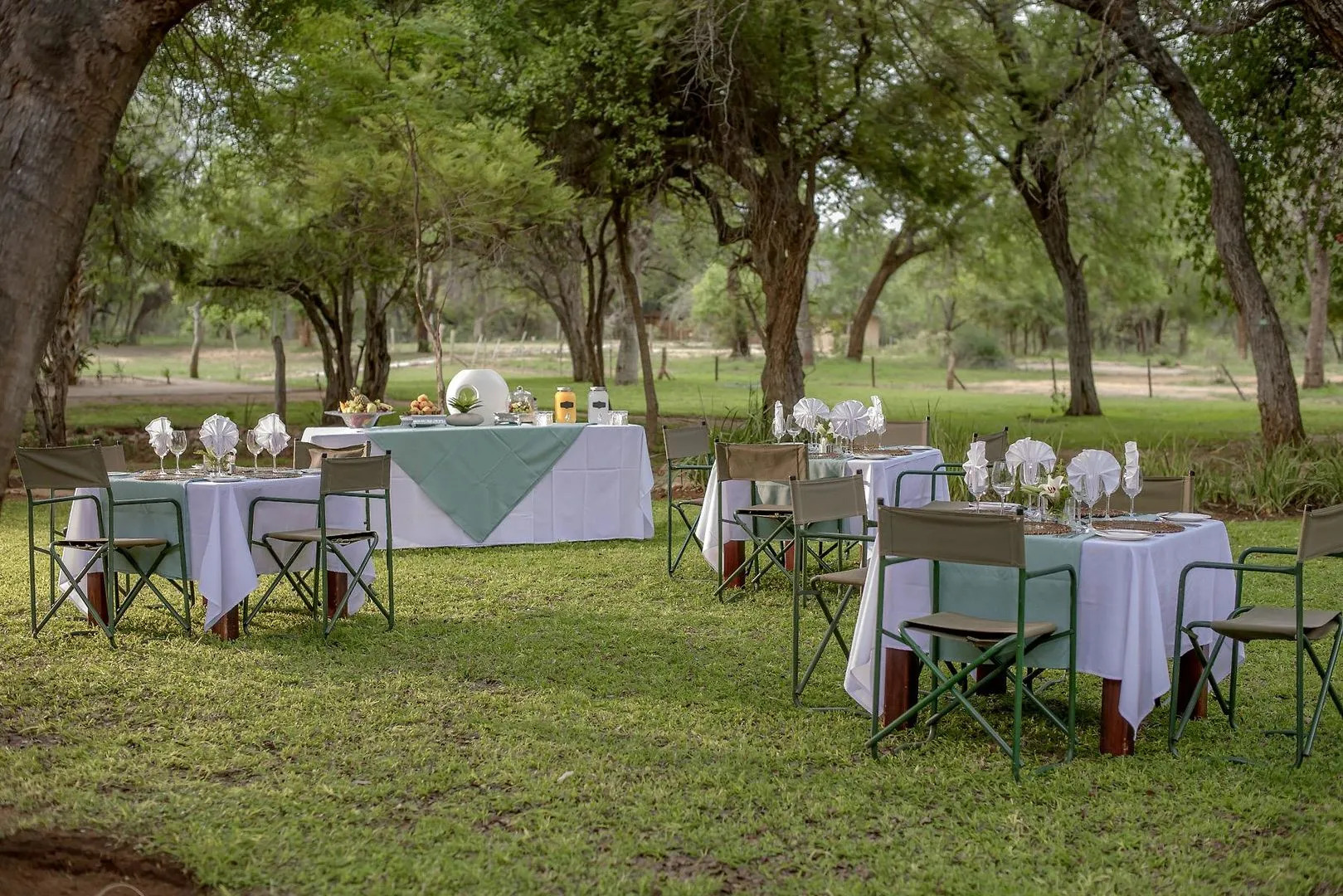 Karongwe- Shiduli Safari Lodge