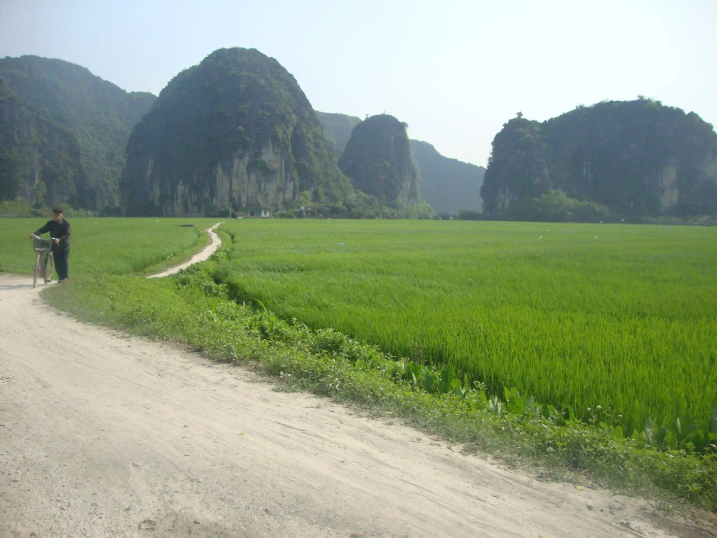 Ninh Binh Family Homestay