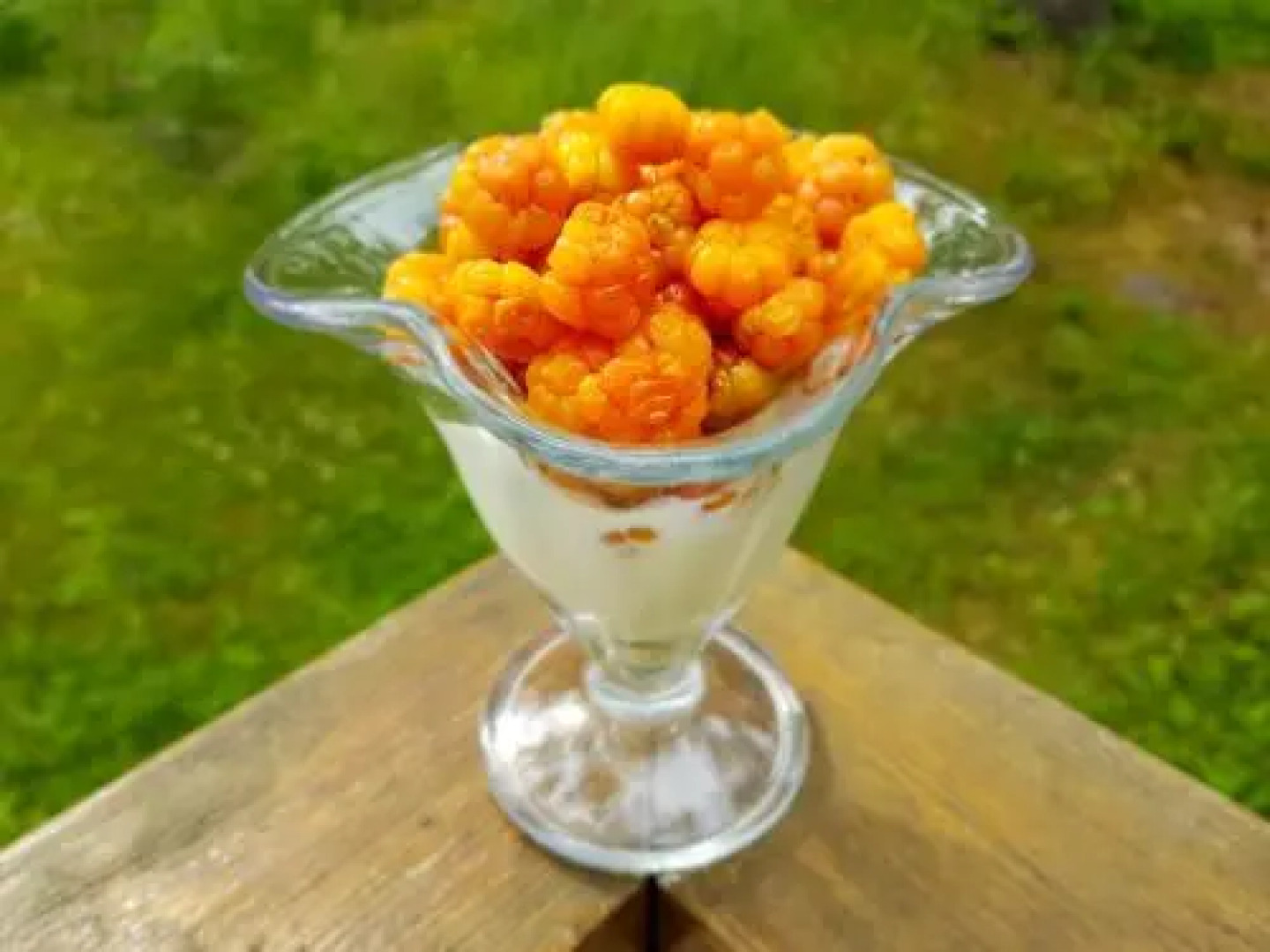 Tourist Center Alekka